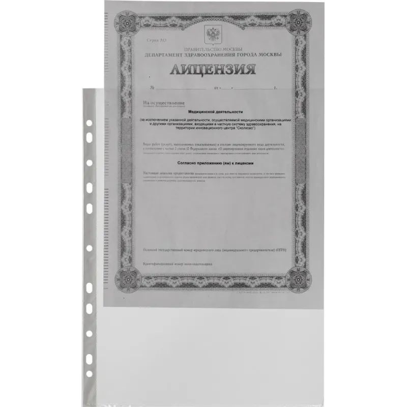 Файл-вкладыш А4 100шт., гладкая Элементари 0,45 мм