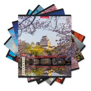 Тетрадь общая ученическая ErichKrause Mysterious Japan, 96 листов, клетка, глянцевая ламинация_MIX-PACK