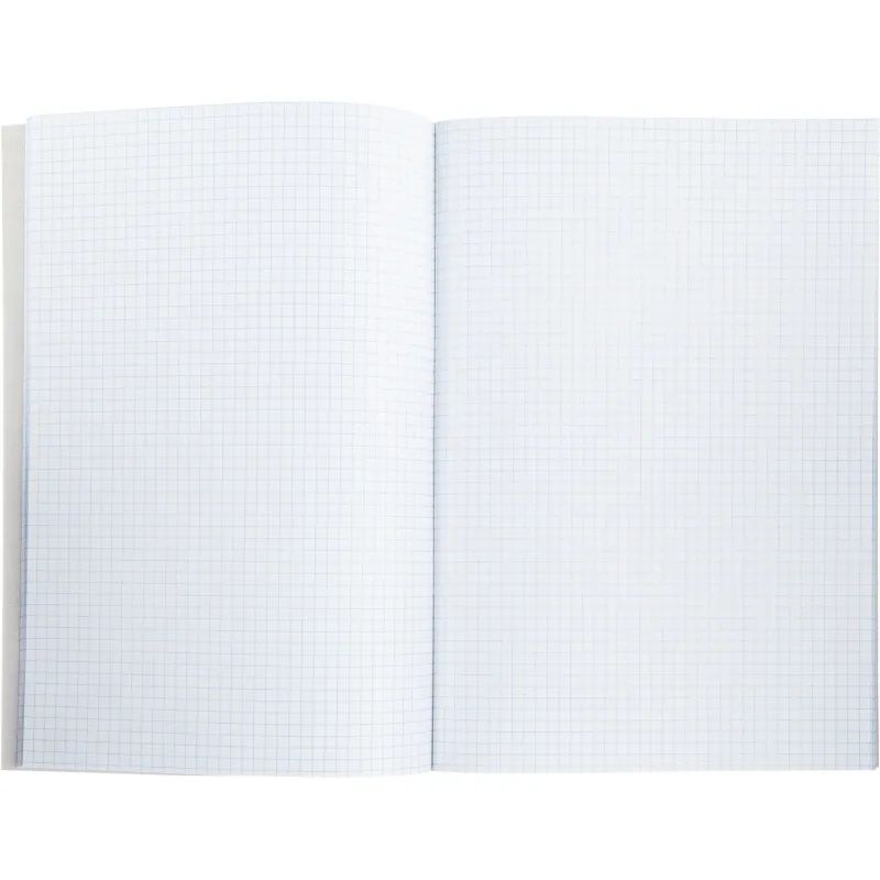 Книга учета канц.облож.картон (клетка) 48л. блок офсет