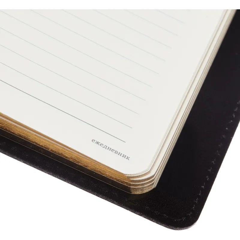Ежедневник полудатированный черный,кожа,A5,1,208 л.,Br.V.PROFY 3-073/02