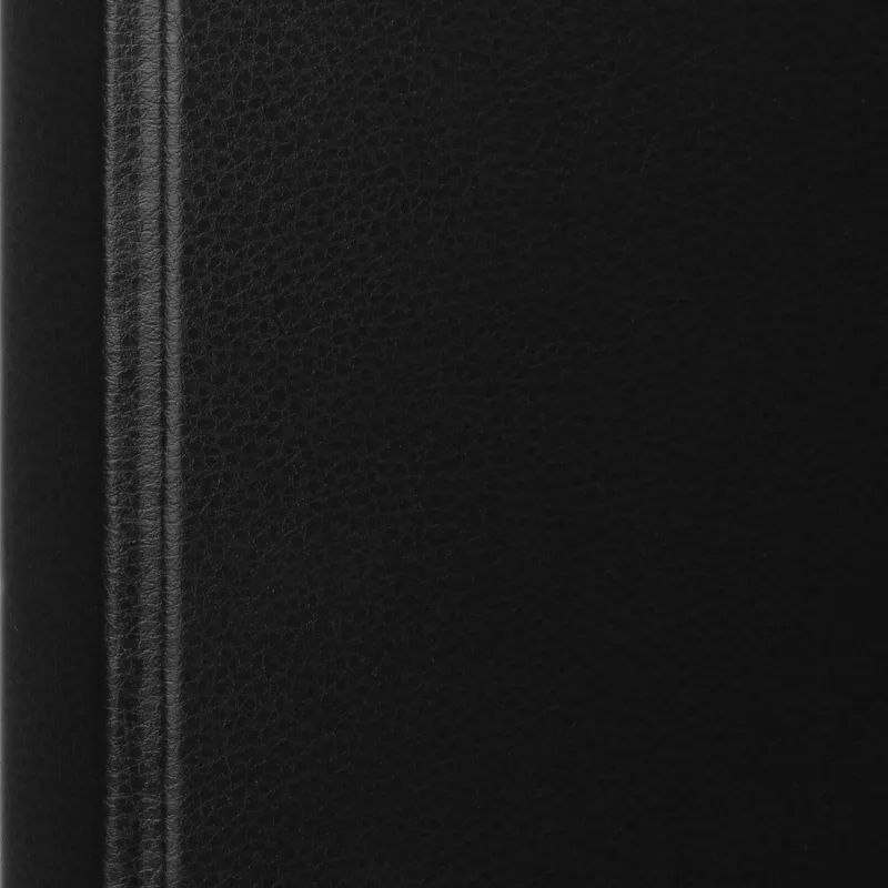 Папка на 4-х кольцах 25мм  черная Россия