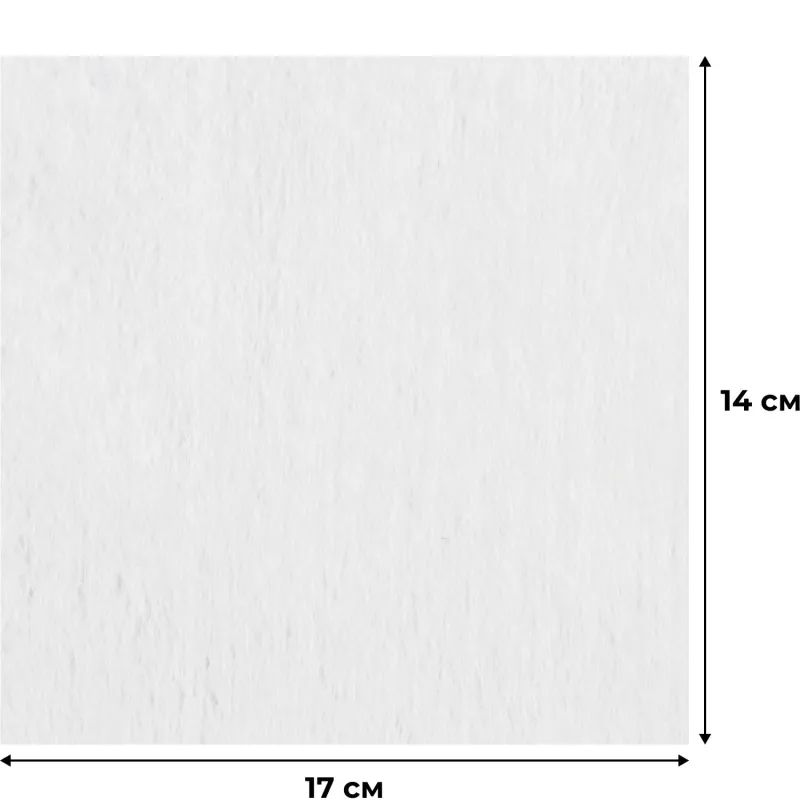 Салфетки влажные Luscan антибактериальные 70шт с крышкой