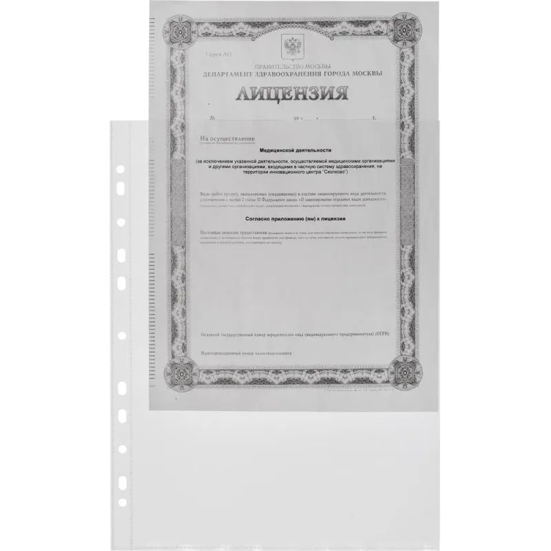 Файл-вкладыш А4+ Attache Selection 120 мкм 50 шт/уп