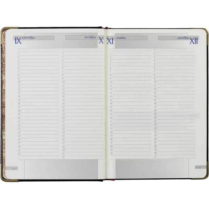 Ежедневник полудатированный черный А5 IMPERIUM 3-023/120