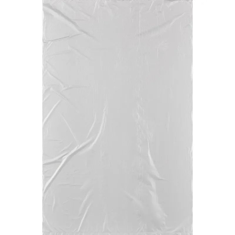 Пакет фасовочный на втулке ПНД 25х40,10мкм 500 шт./рул. Эконом