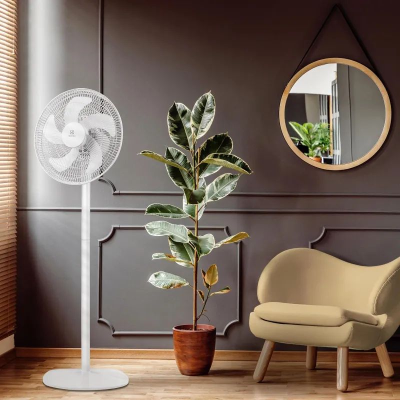 Вентилятор напольный Electrolux  EFF - 1005,напол/настольн,Управ.мех,цв.бел