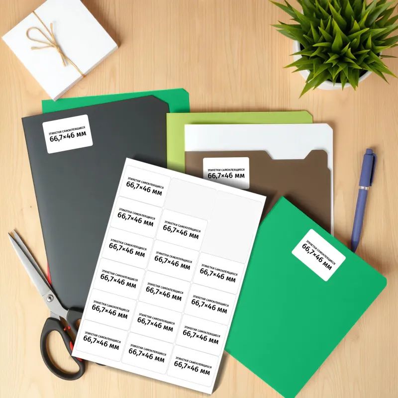 Этикетки самоклеящиеся 66,7х46 мм/18 шт. на лист А4 (100 лист