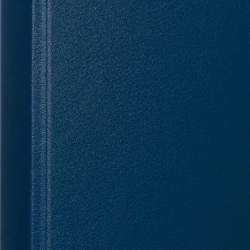 Папка на 4-х кольцах 25мм синяя Россия