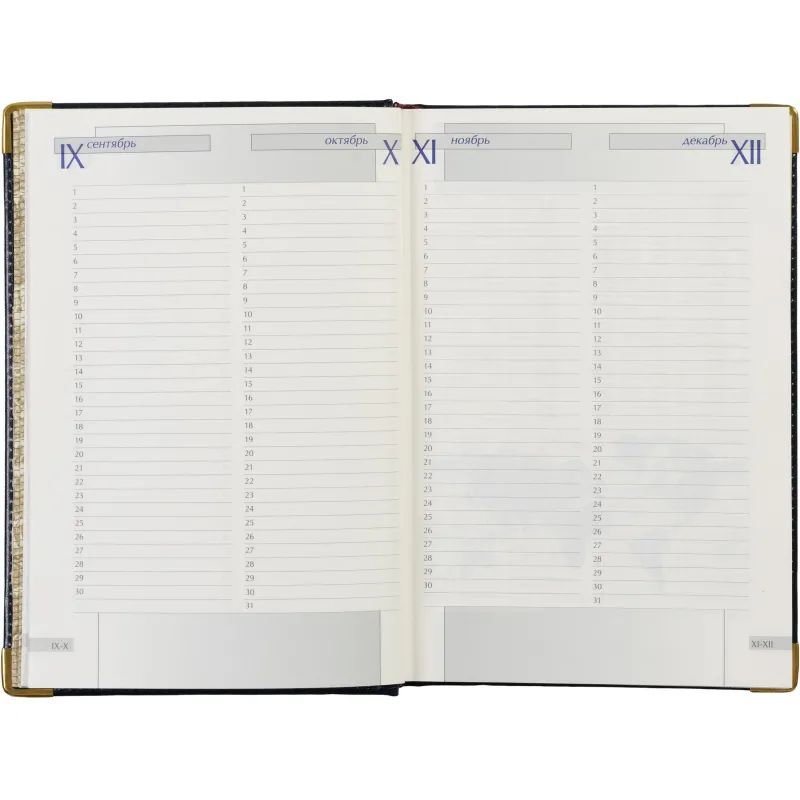 Ежедневник полудатированный кожа,синий,А5,145х216,208л, IMPERIUM 3-023/121