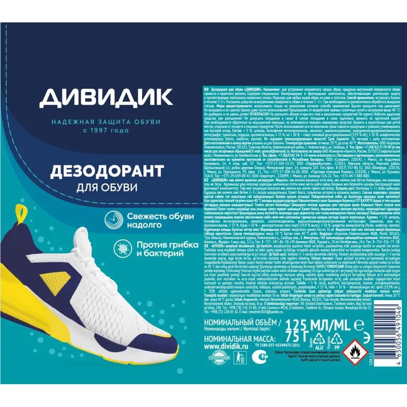 Дезодорант для обуви аэрозоль Дивидик 125мл ГГ