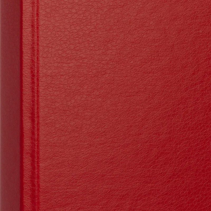 Папка на 4-х кольцах 25мм  красная Россия