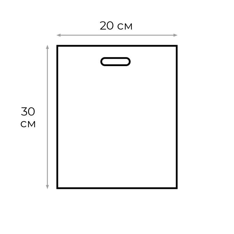 Пакет с вырубной ручкой  Аксессуар30х20см 100шт/уп