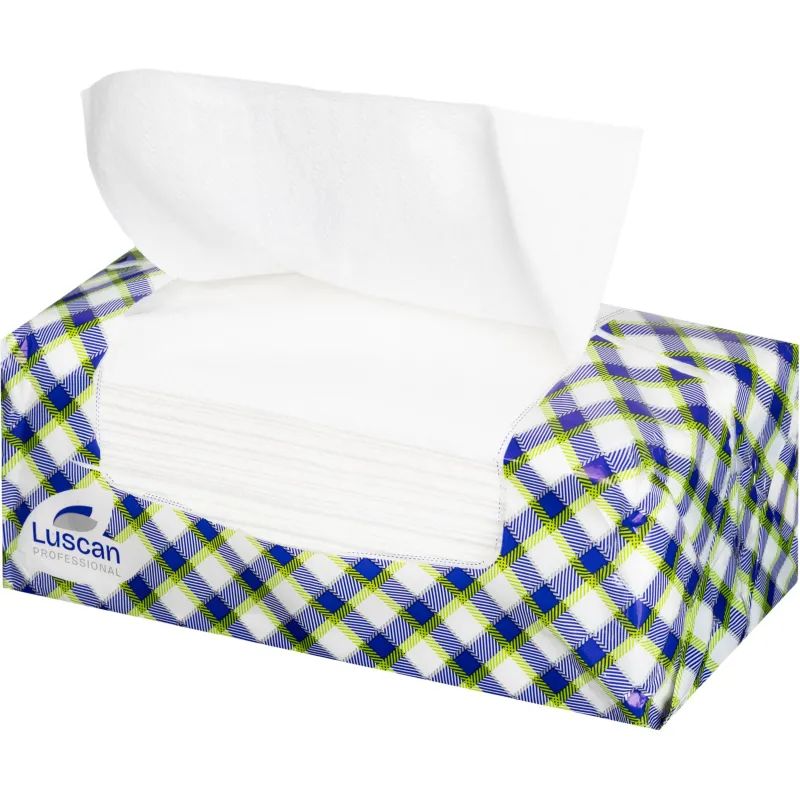 Полотенца бумажные листовые Luscan Professional 2-слойные 200 лист / уп
