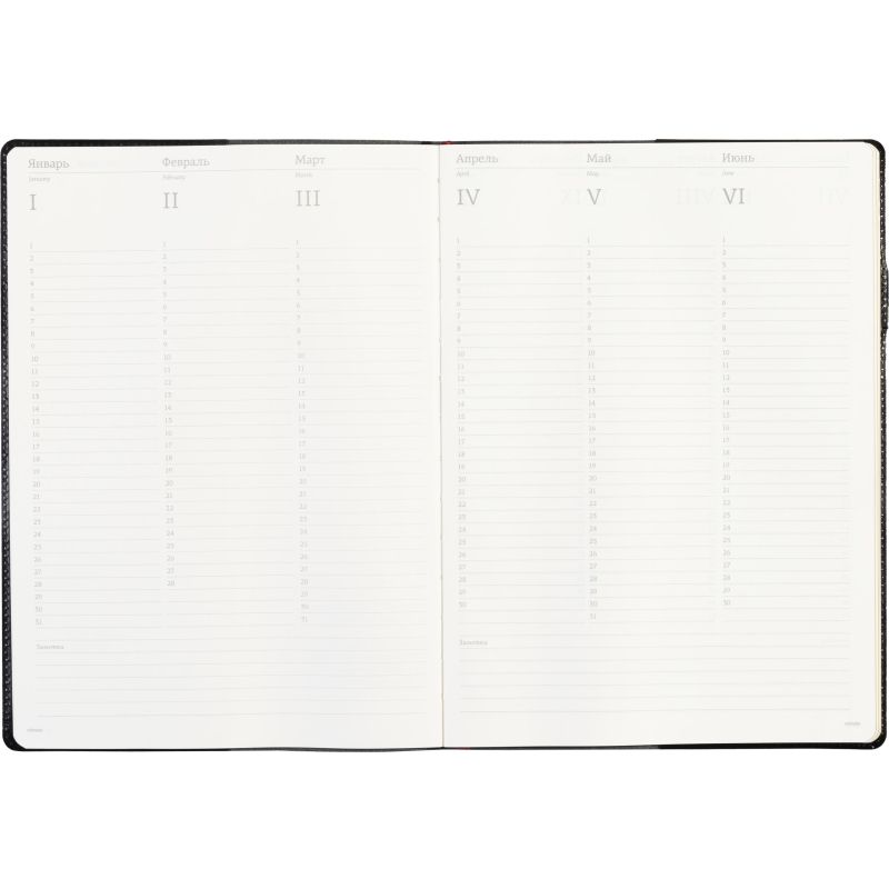 Еженедельник недатированный черный,кожа,A4 64л,Br.V.PROFY 3-098/02