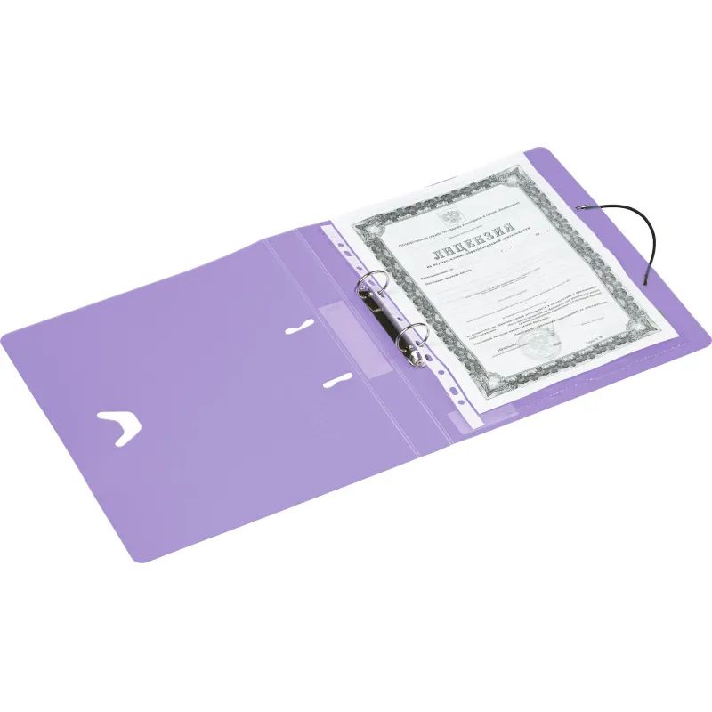 Папка на 2-х кольцах Attache Rainbow Style фиолетовый
