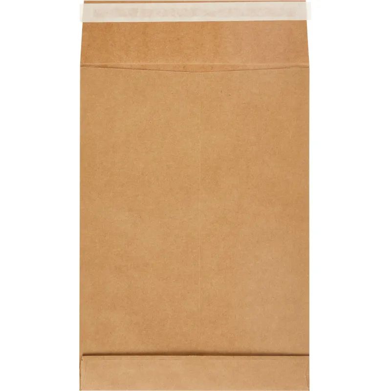 Пакет крафт B4 стрип Extrapack250х353х40 120г 25шт/уп/6569