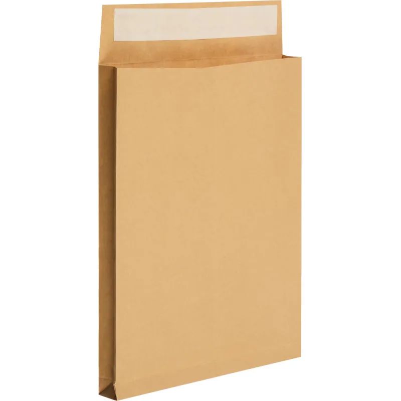 Пакет крафт E4 стрип Largepack300х400х40 120г 200шт/уп/6326