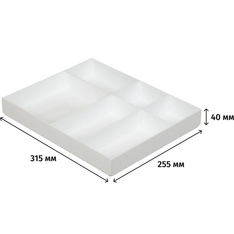 Лоток горизонтальный вложение в бокс или ящик стола, 6 отделений,40х255х315