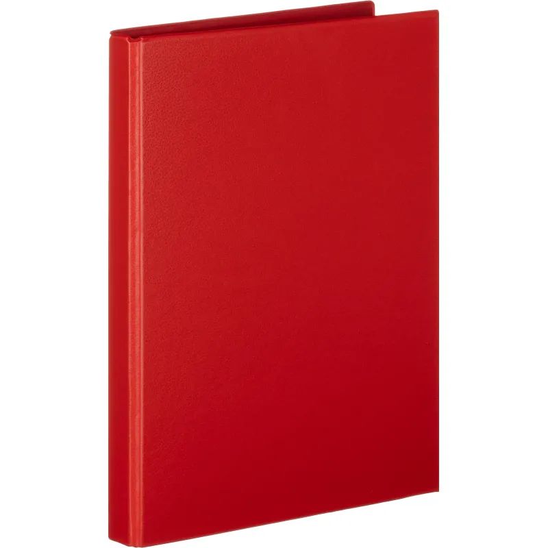 Папка на 4-х кольцах 25мм  красная Россия