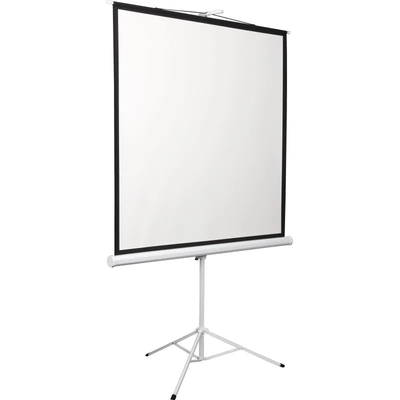 Экран Digis DSKD-1106 мобильный 1:1, 200х200