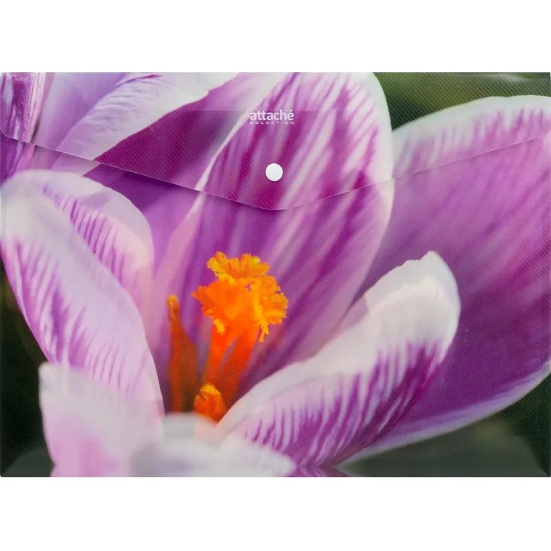 Папка-конверт на кнопке Attache Selection Crocus 6шт в уп.