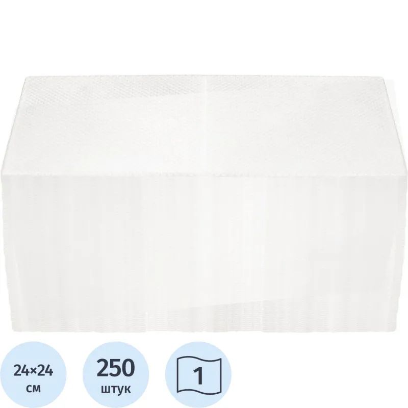 Салфетки бумажные бигпак, 24х24, 250 листов/уп._Л