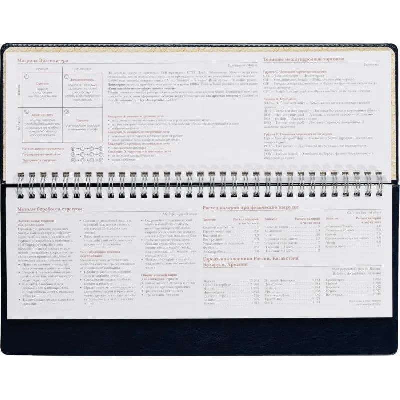 Планинг недатированный Sidney синий 305х130, 64 л. Ал 3-318/04