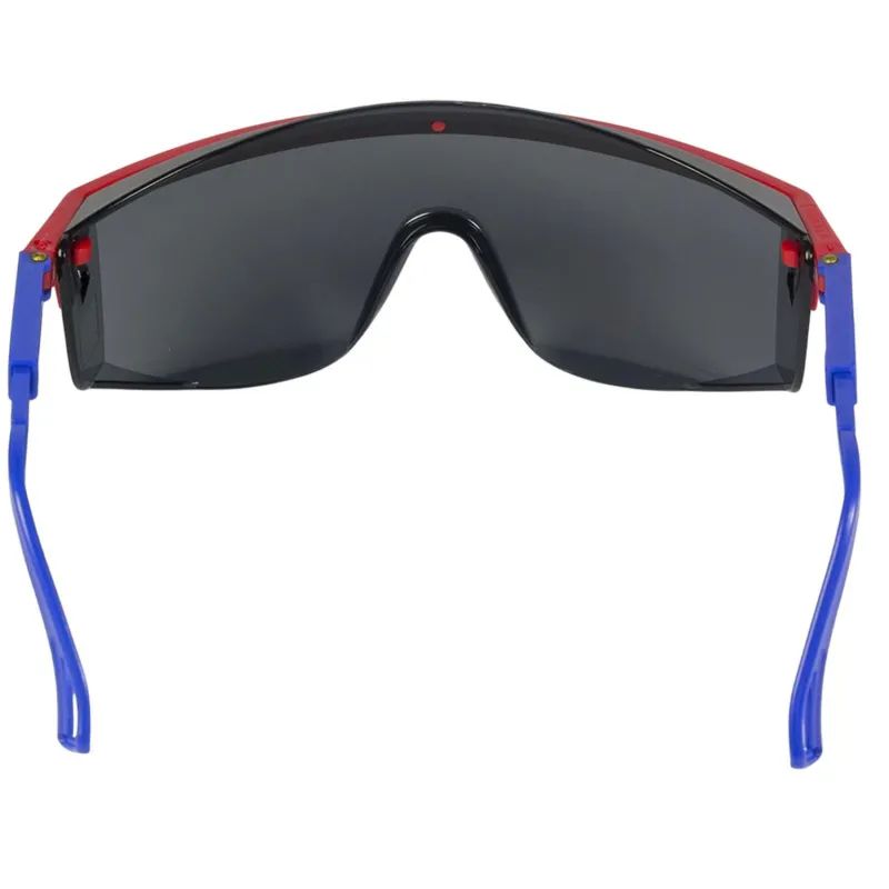 Очки защитные открытые РОСОМЗ О37 Universal Titan затемненные (13725)