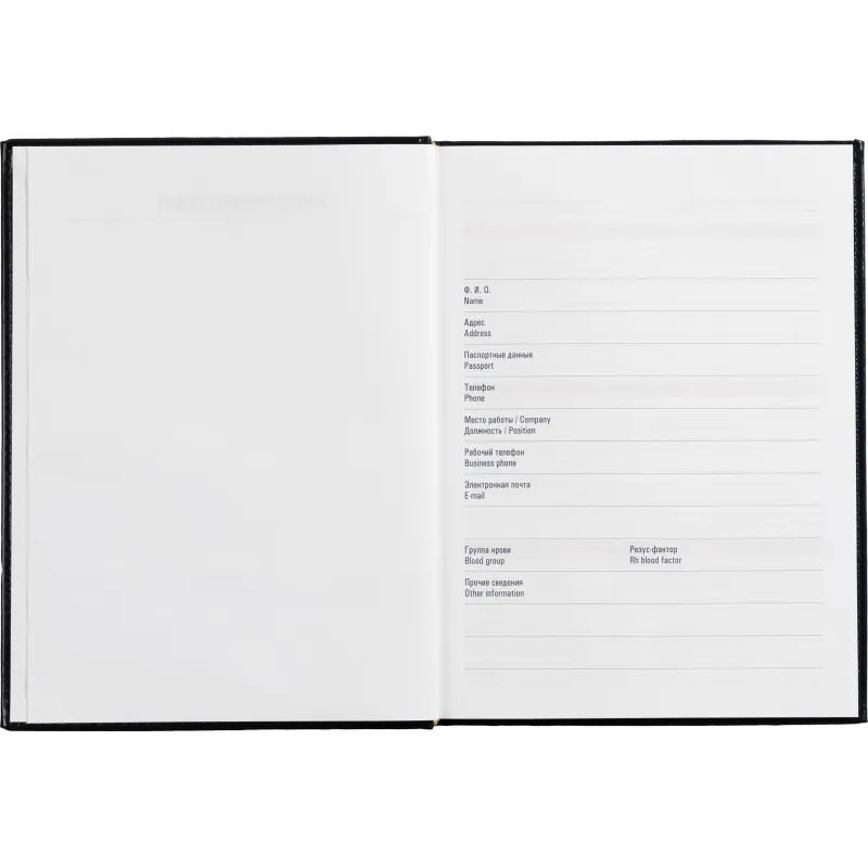 Ежедневник недатированный синий, А4, 202х272 мм, 176 л, АТТАСНЕ Каньон