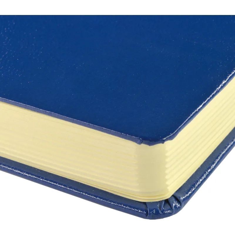 Ежедневник недатированный синий, MEGAPOLIS А5, 142х214мм,320стр.3-281/01