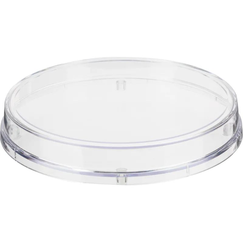 Монетница круглая, диаметр 172мм