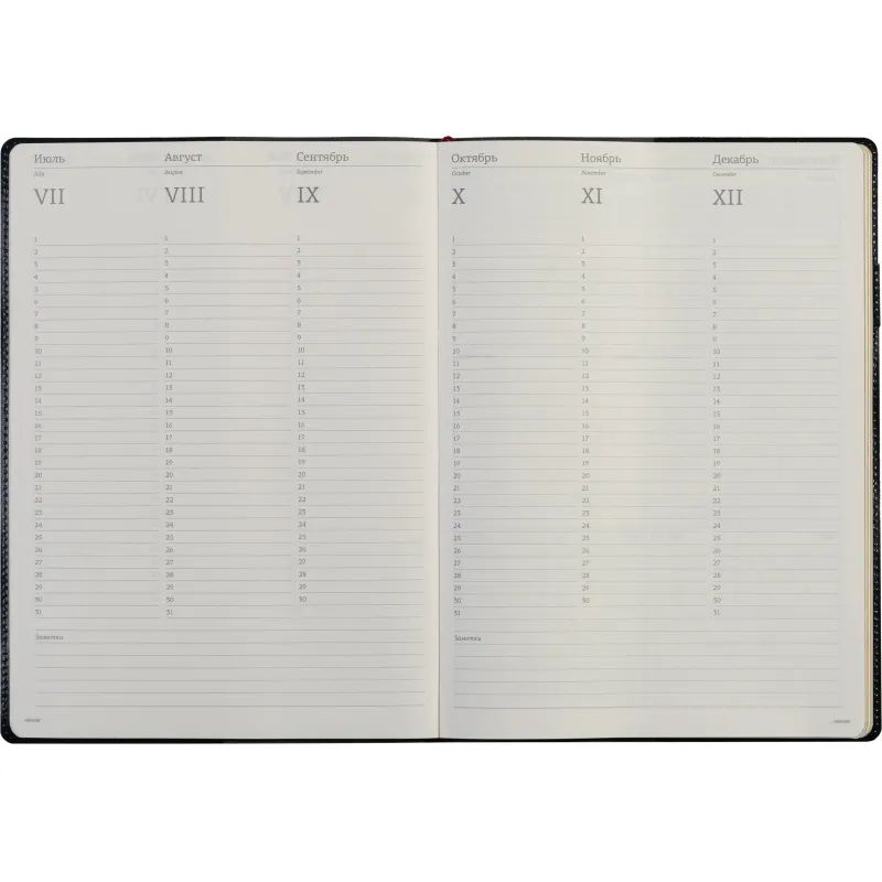 Еженедельник недатированный синий,A4,222х302мм,128 стр.,Br.V.PROFY 3-098/01