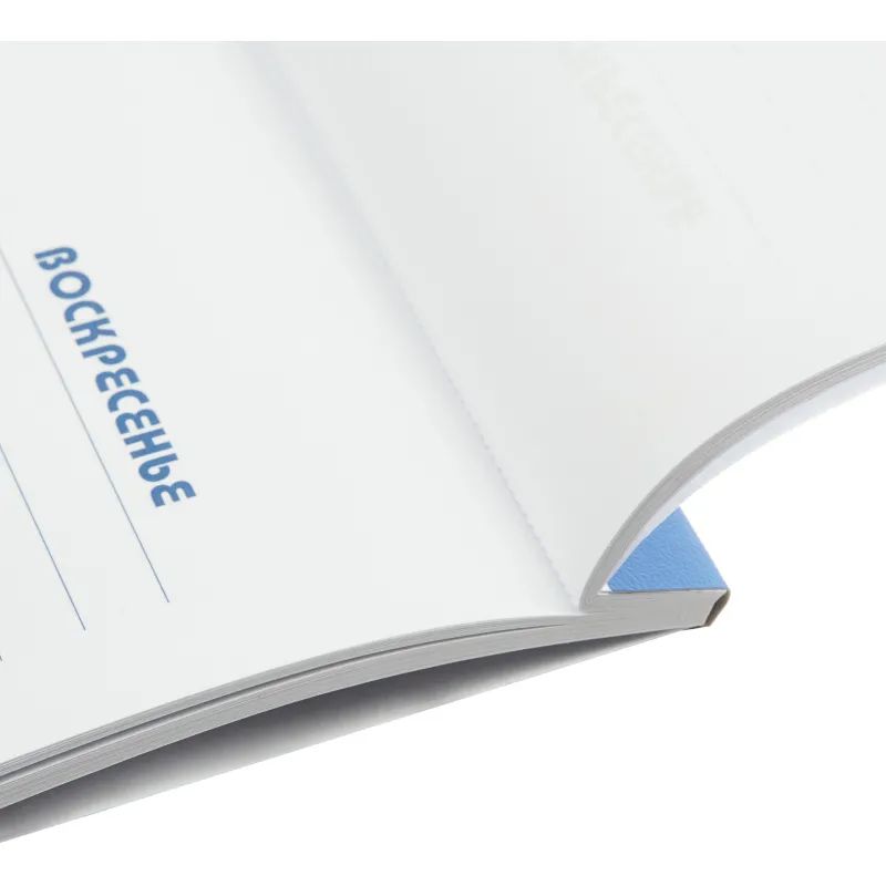 Планинг недатированный 575х450, 53 л. Кем