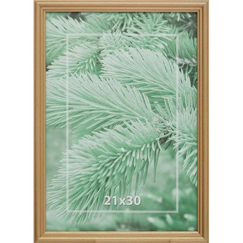 Рамка 21х30см деревянная, профиль №1, цвет &#039;золото