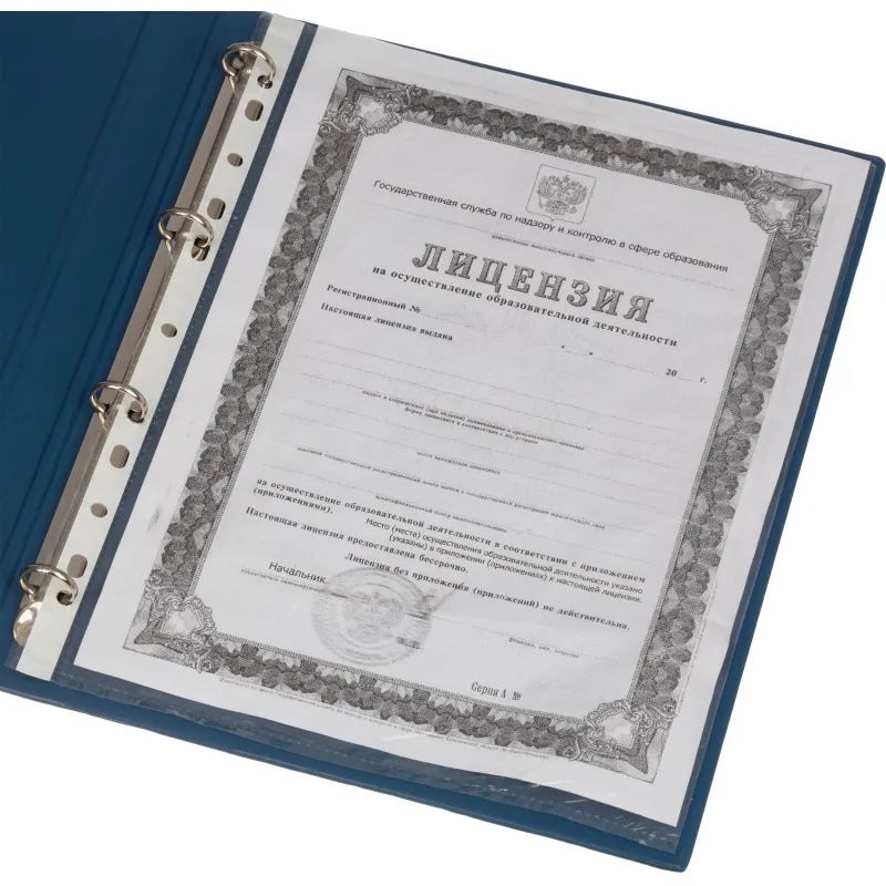 Папка на 4-х кольцах 25мм синяя Россия