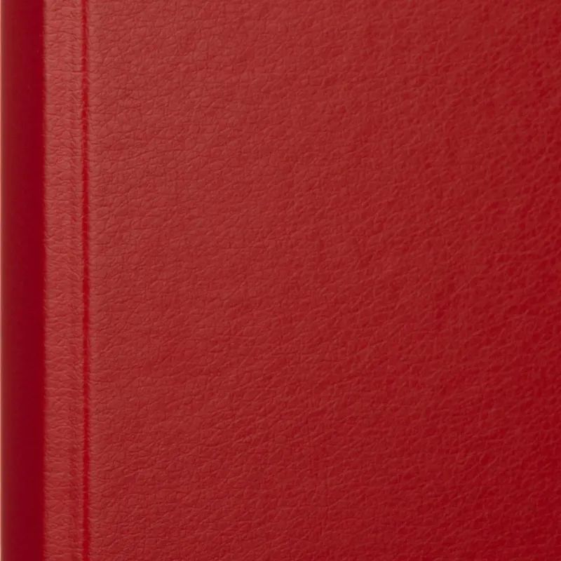 Папка с зажимом красная Дания-Россия