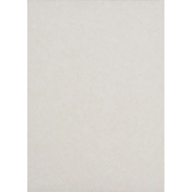 Набор цветной бумаги №1School 8л.8цв.офсет+картон 8л.8цв.немел,А4 Отличник