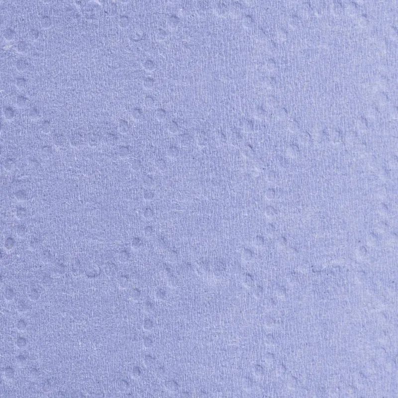 Бумага протирочная Luscan Prof 2сл 500лx1рул/уп 130м голубая