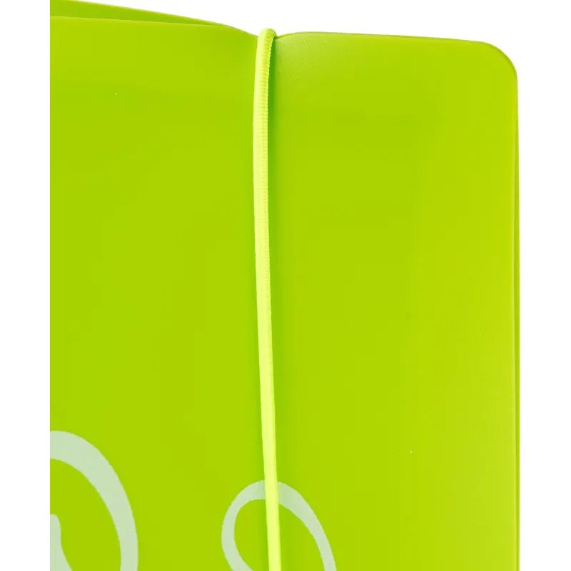 Бизнес-тетрадь А5,120 л,пласт обл,на рез,с разд, ATTACHE FANTASY,салат