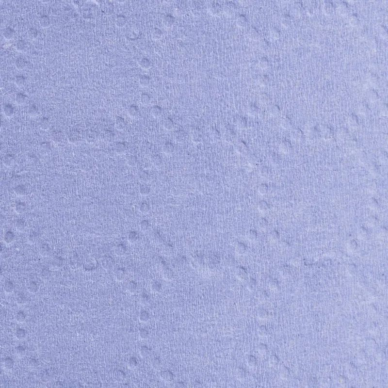 Бумага протирочная Luscan Prof 2сл 200лx1рул/уп 52м голубая