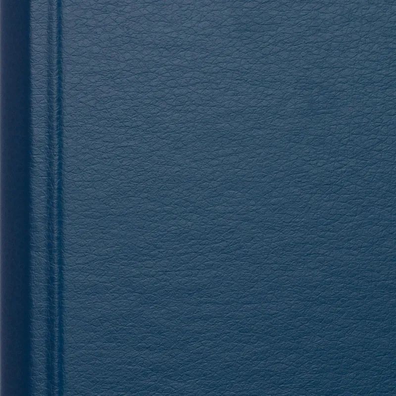 Папка с зажимом синяя Дания-Россия