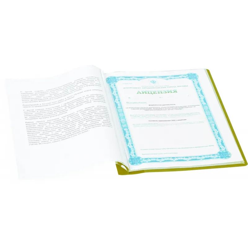 Папка файловая с перфорацией Attache Economy 10 желтая 30мкм файлы