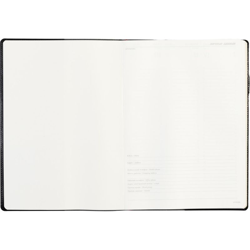 Еженедельник недатированный черный,кожа,A4 64л,Br.V.PROFY 3-098/02