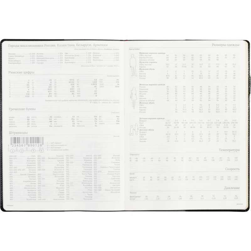 Еженедельник недатированный черный,кожа,A4 64л,Br.V.PROFY 3-098/02