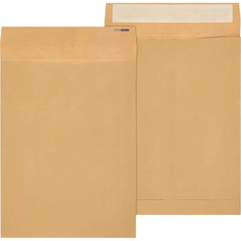 Пакет крафт E4 стрип Extrapack 300х400х40 120г 250шт/уп/6586