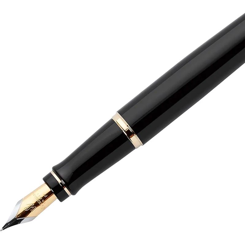 Ручка перьевая WATERMAN EXPERT S0951640 черн. корп, син чернила 0,5мм Франц