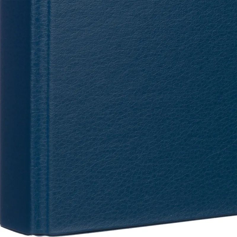 Папка на 4-х кольцах 25мм синяя Россия