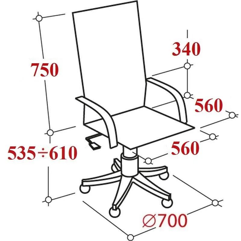 Кресло BN_Dp_EChair-585 TR рецикл.кожа черный, хром