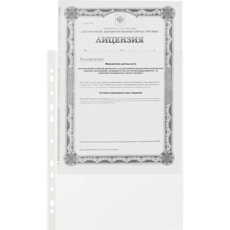 Файл-вкладыш А4 Attache Economy,Стандарт ,100шт./уп.с перф.Россия