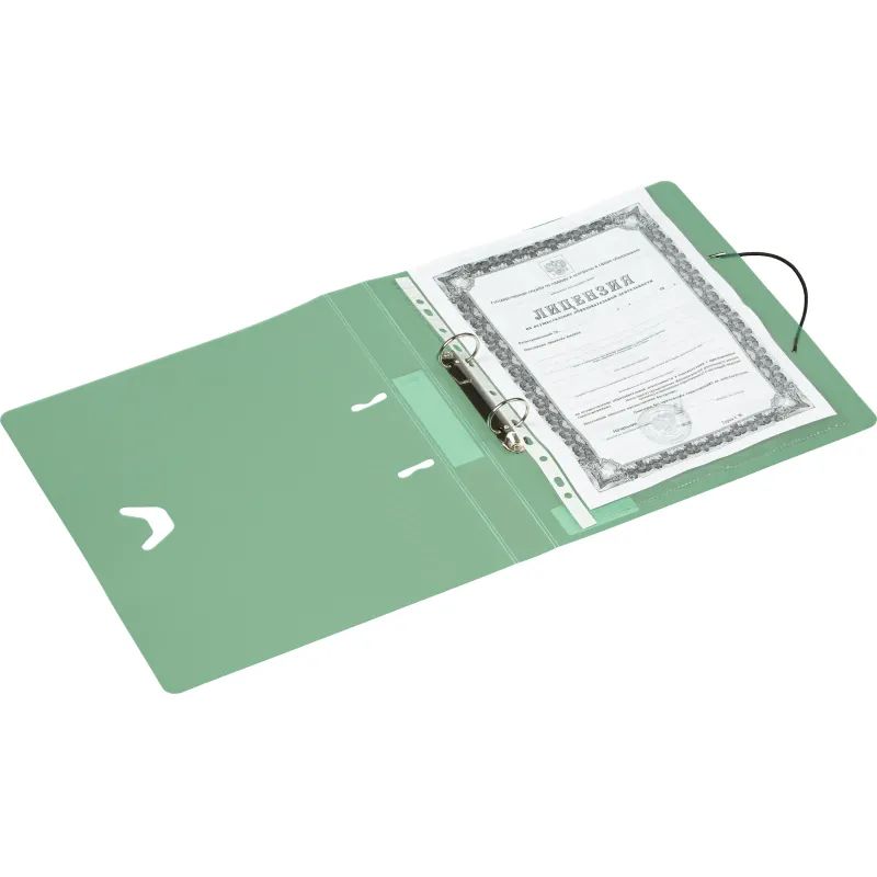 Папка на 2-х кольцах Attache Rainbow Style зеленый